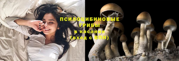 соль курить ск Михайловск
