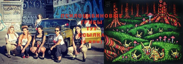 прущие крисы Михайлов