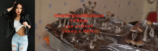 каннабис Михайловка