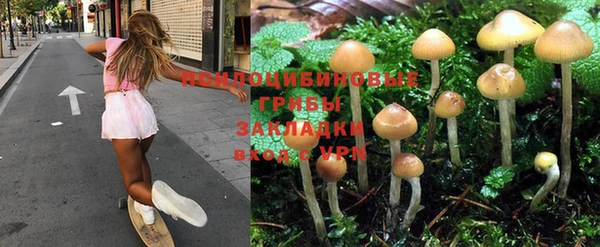 соль курить ск Михайловск