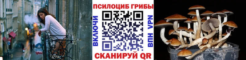 наркотики mega сайт Псилоцибиновые грибы Magic Shrooms Череповец