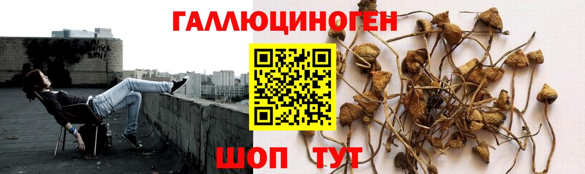 цена   Псилоцибиновые грибы мухоморы  Вход с VPN  Череповец 